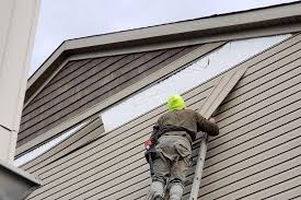 Best Vinyl Siding Installation  in Steger, IL